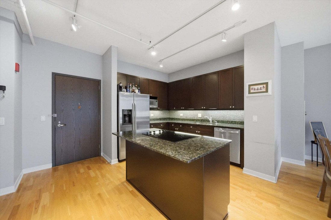 Condo in Chicago, Illinois, United States 3 - 18713113