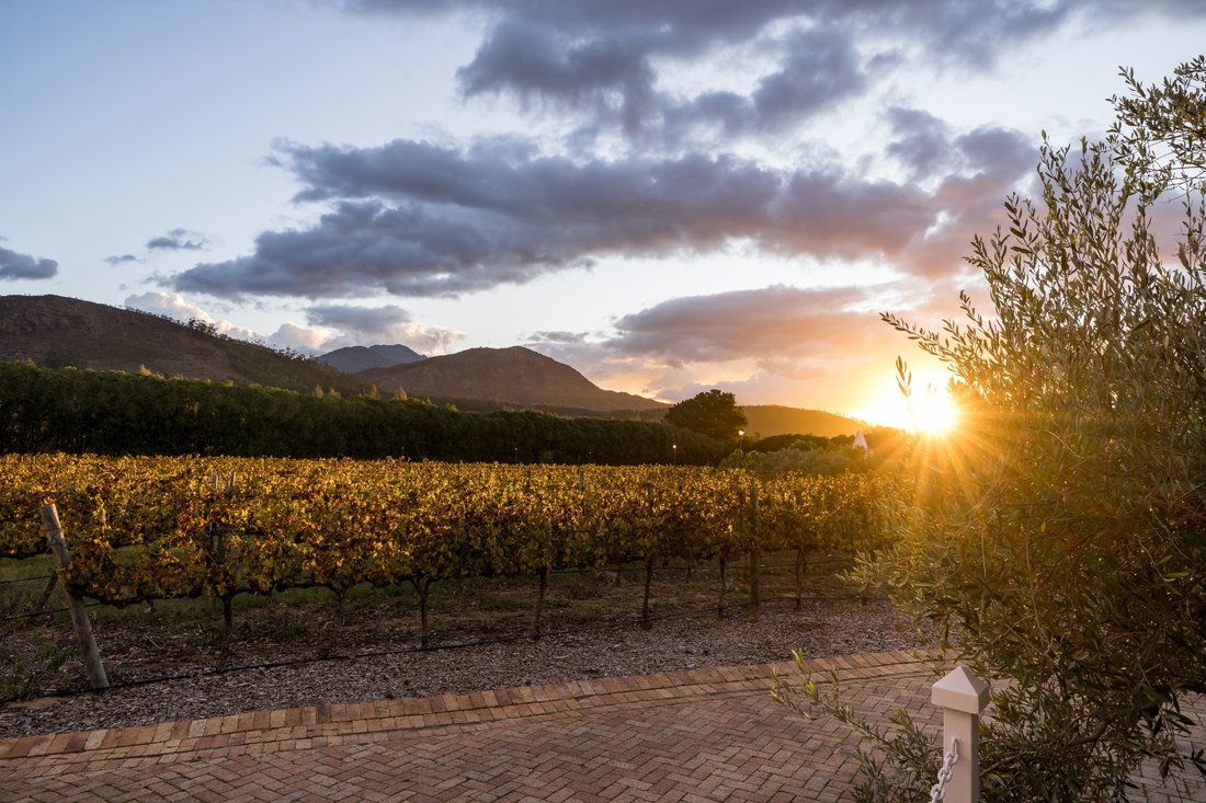 House in Franschhoek, Western Cape, South Africa 3 - 17749862
