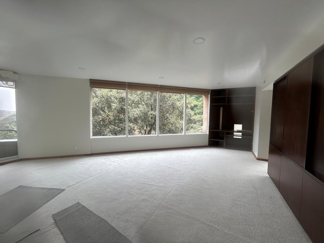 Apartment in Mexico City, Mexico 4 - 18704426