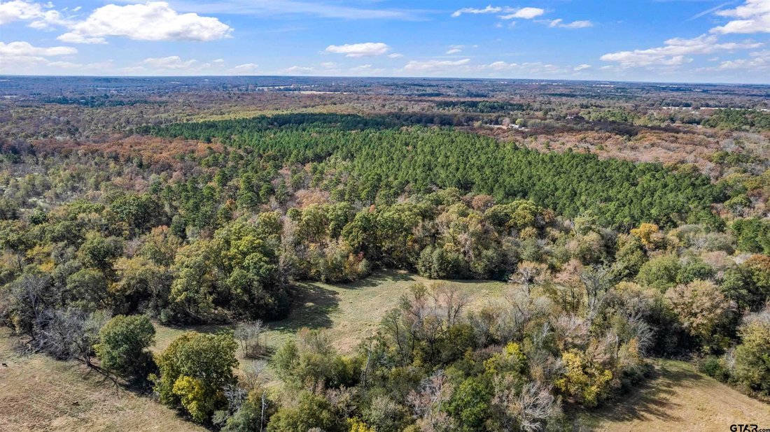 Land in Winnsboro, Texas, United States 1 - 18712610