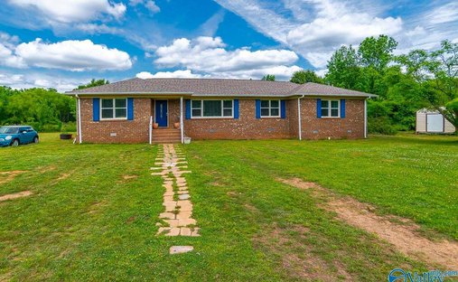 Farm Ranch in New Market, Alabama, United States 1