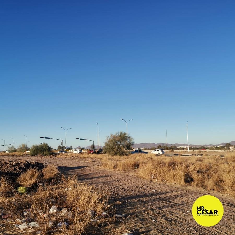 Land in Hermosillo, Castelo Branco District, Portugal 5 - 18704107