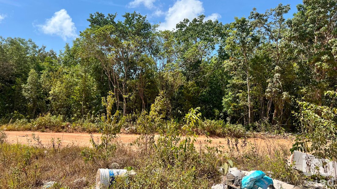 Land in Alfredo V. Bonfil, Quintana Roo, Mexico 3 - 18704082