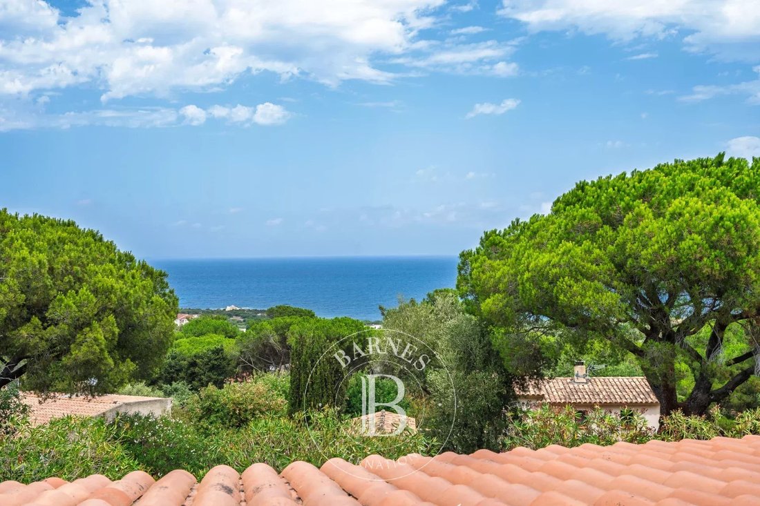 Villa in Corbara, Corsica, France 1 - 18559737