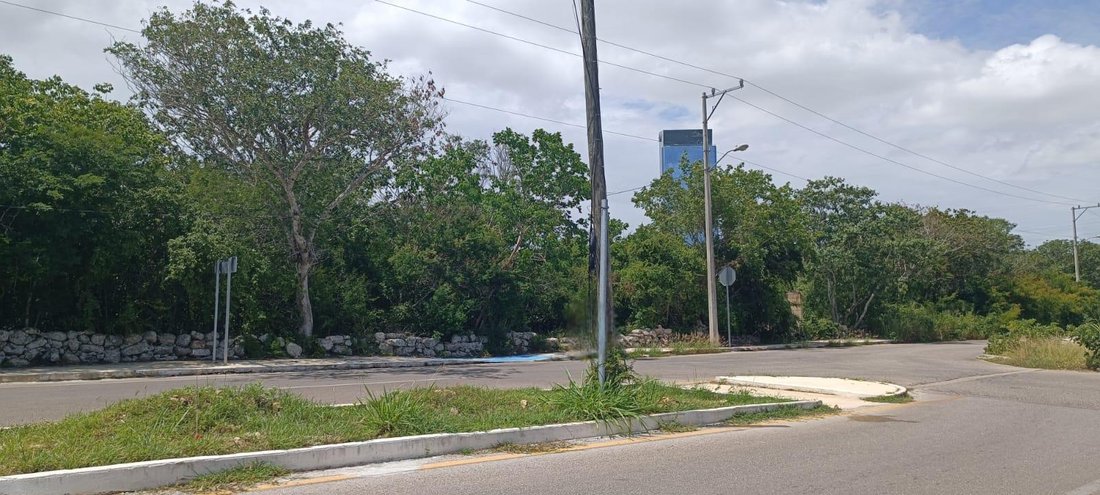 Land in Mérida, Yucatán, Mexiko 5 - 18626015