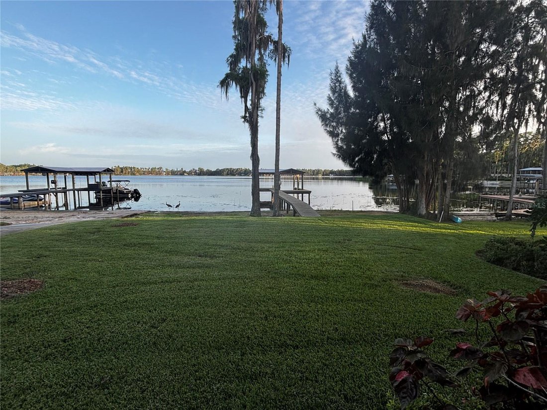 House in Land O' Lakes, Florida, United States 1 - 18705609