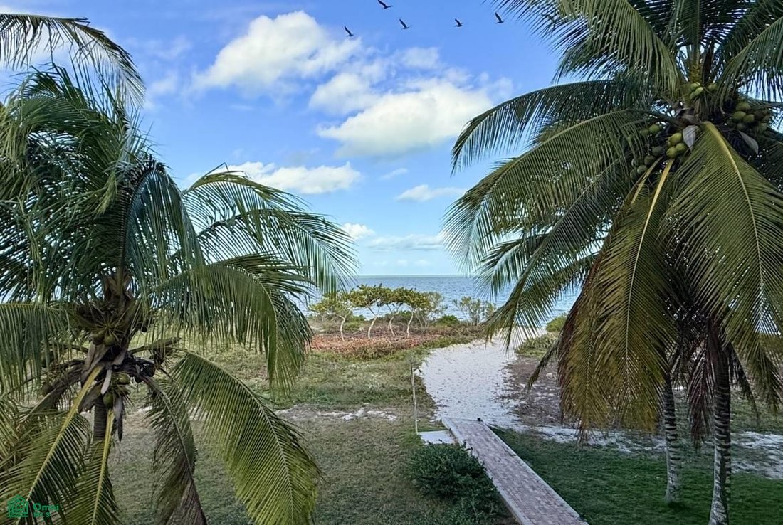 Eigentumswohnung in San Crisanto, Yucatán, Mexiko 1 - 18711247