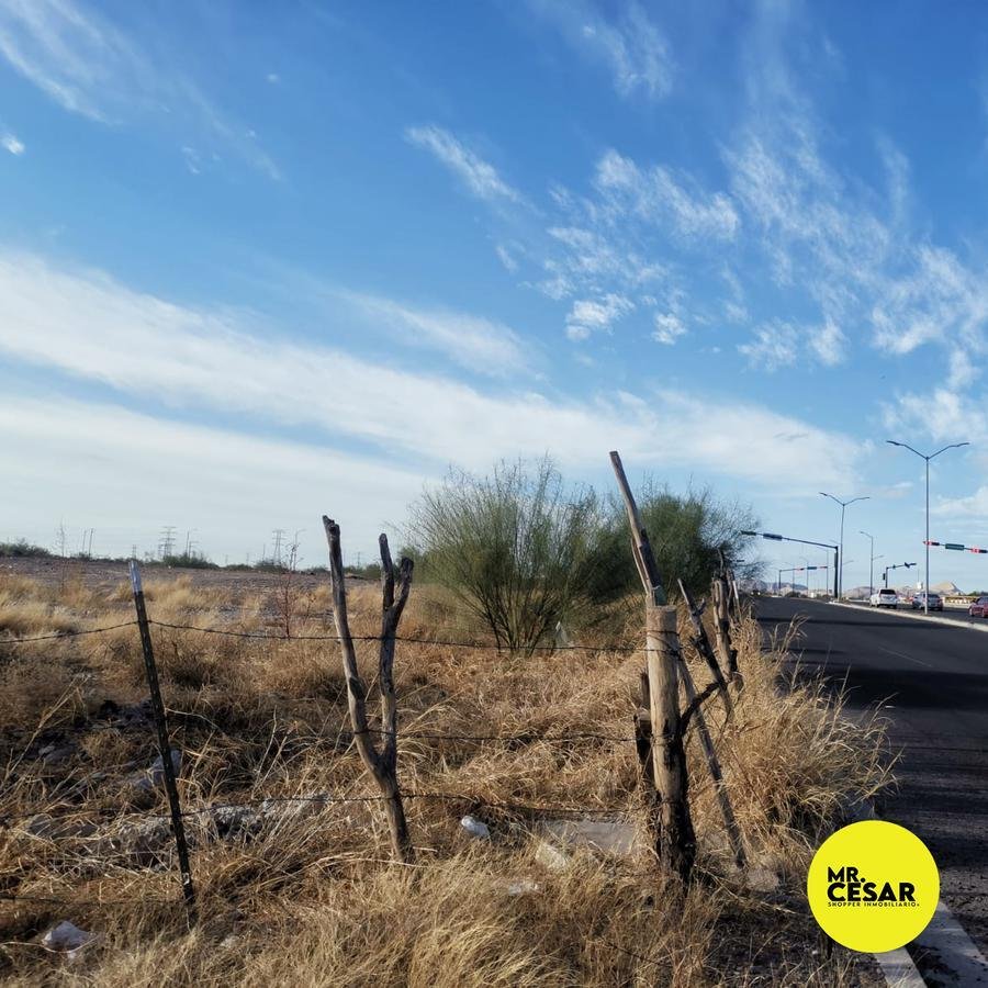 Land in Hermosillo, Castelo Branco District, Portugal 1 - 18704107