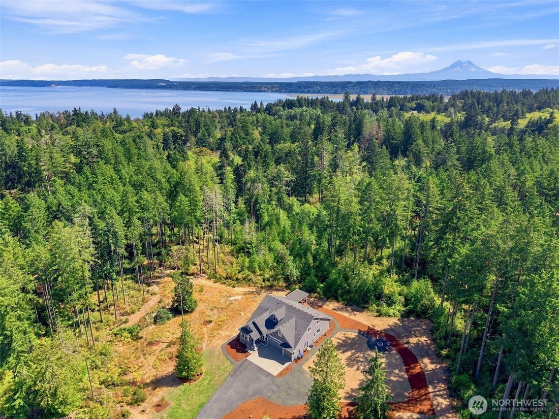 House in Olympia, Washington, United States 1 - 18703623