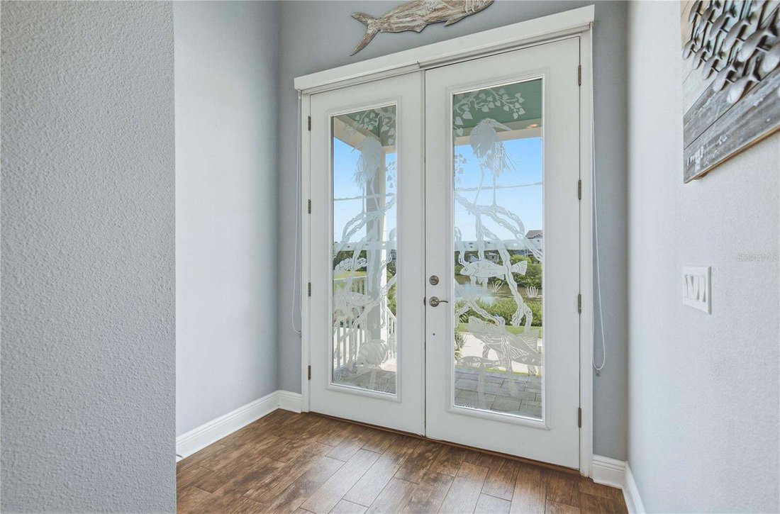 House in New Port Richey, Florida, United States 5 - 18705574
