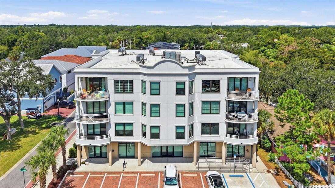 Condo in Safety Harbor, Florida, United States 3 - 18705575