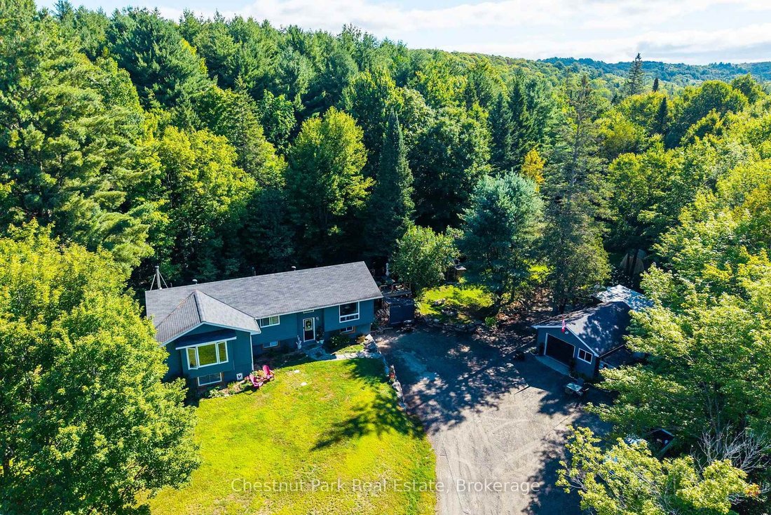 House in Huntsville, Ontario, Canada 5 - 18709361
