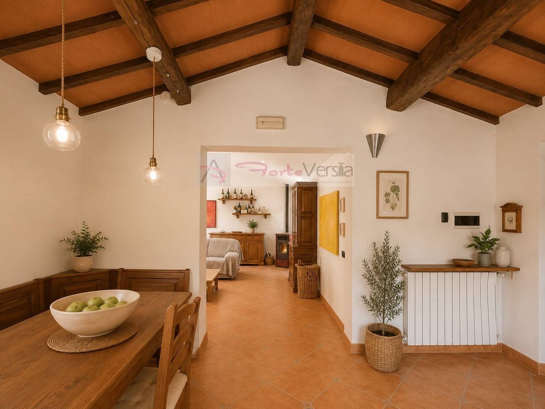 Villa in Strettoia-Capezzano-Valdicastello, Pietrasanta, Tuscany 3 - 18708011