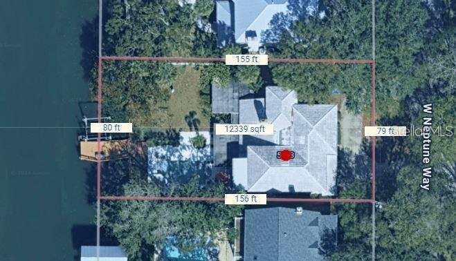 House in Tampa, Florida, United States 3 - 18703003
