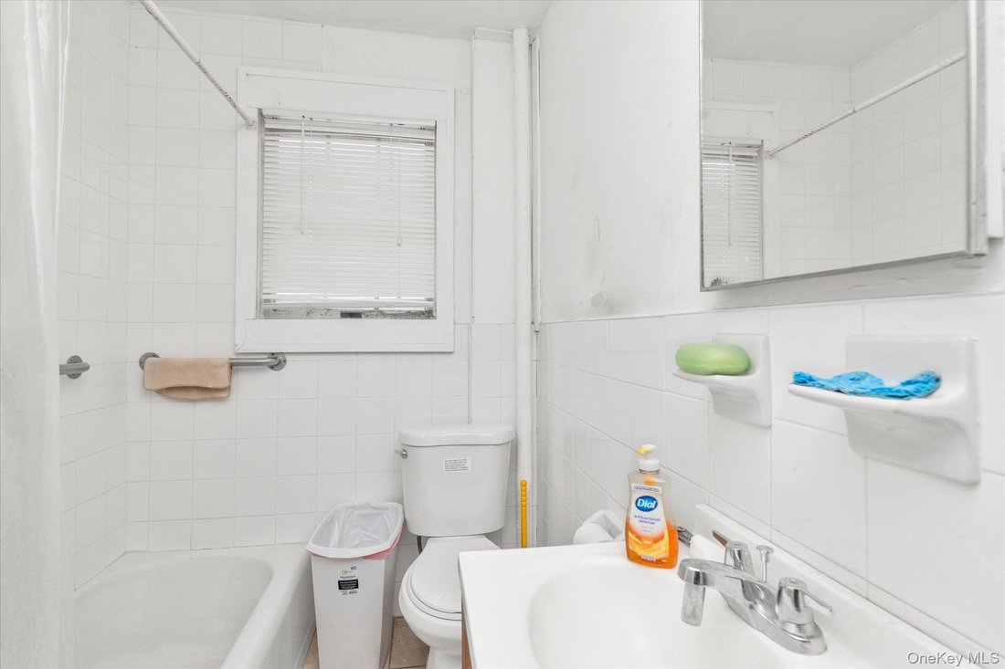 Carle Place, New York, United States 5 - 18706874