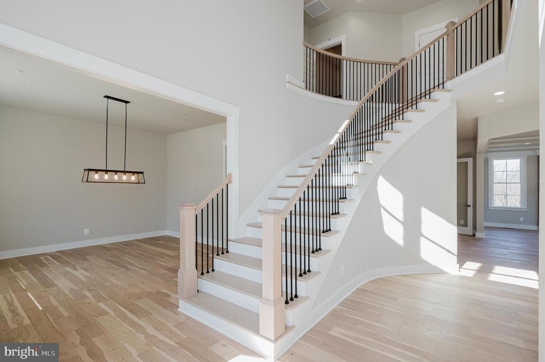 House in Lutherville-Timonium, Maryland, United States 3 - 18712670