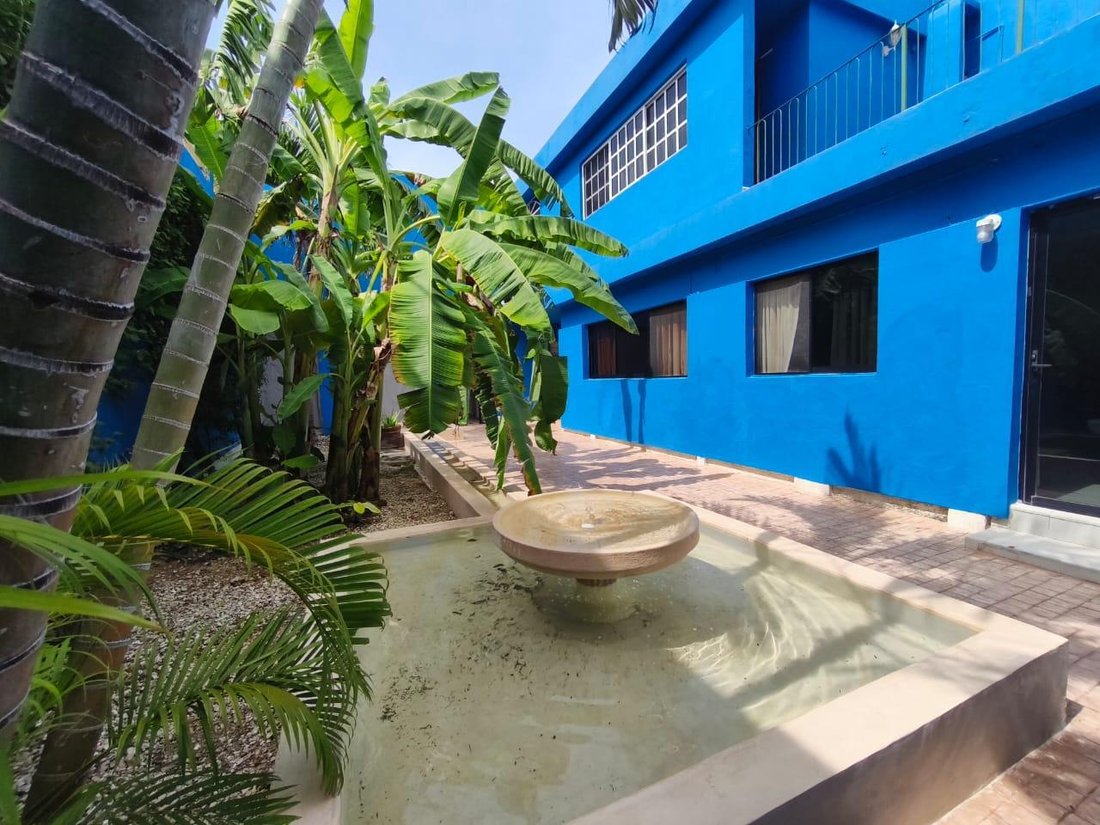 House in Mérida, Yucatan, Mexico 4 - 18710697