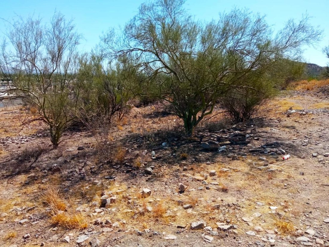 Land in Hermosillo, Castelo Branco District, Portugal 3 - 18704085