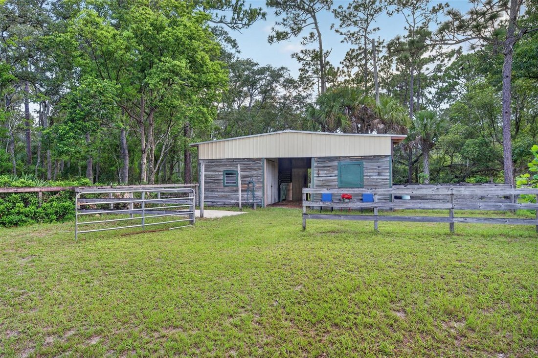 House in Orlando, Florida, United States 4 - 18705608