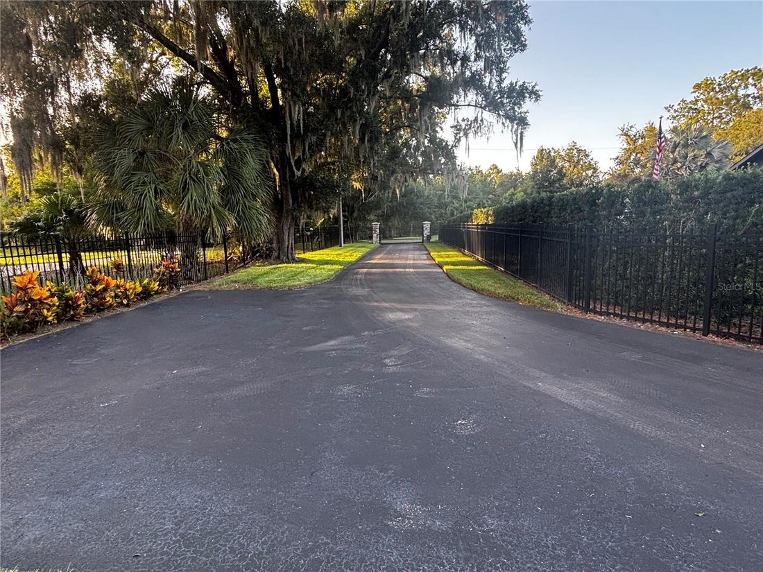 House in Land O' Lakes, Florida, United States 4 - 18705609