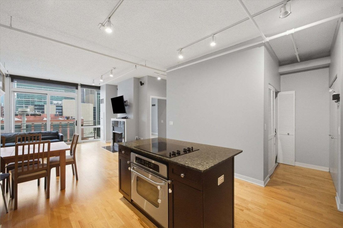 Condo in Chicago, Illinois, United States 5 - 18713113