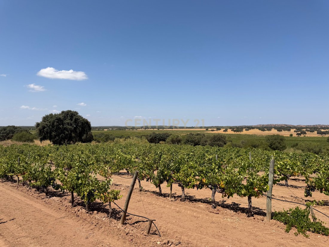 Farm Ranch in Monsaraz, Évora District, Portugal 4 - 18707104