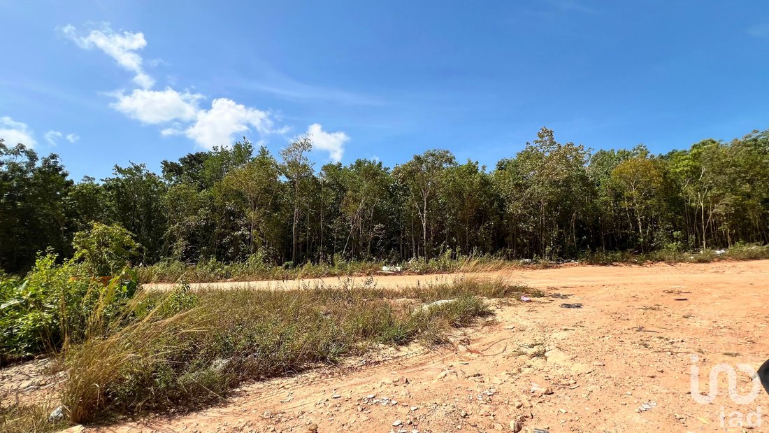 Land in Alfredo V. Bonfil, Quintana Roo, Mexico 1 - 18704082