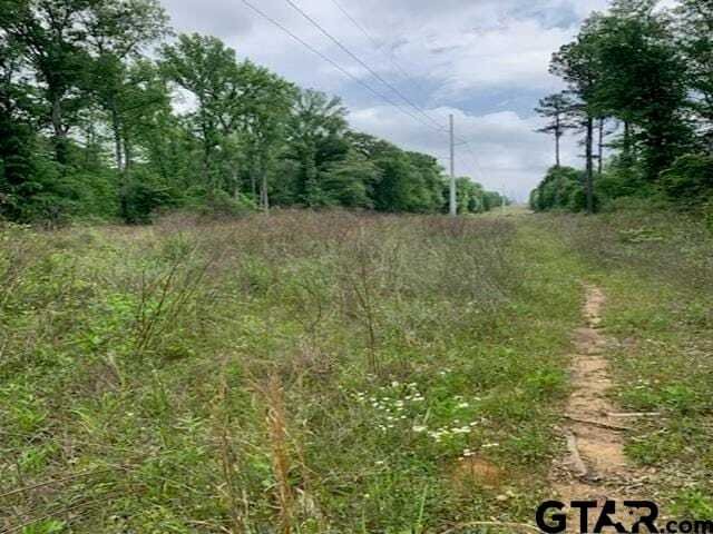 Terreno en Tyler, Texas, Estados Unidos 4 - 18712609