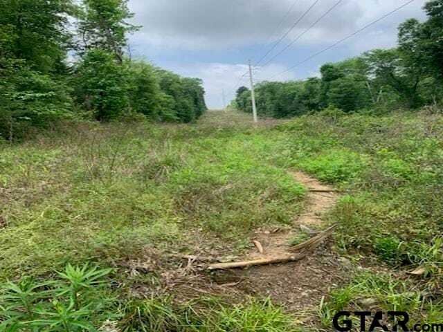 Terreno en Tyler, Texas, Estados Unidos 5 - 18712609
