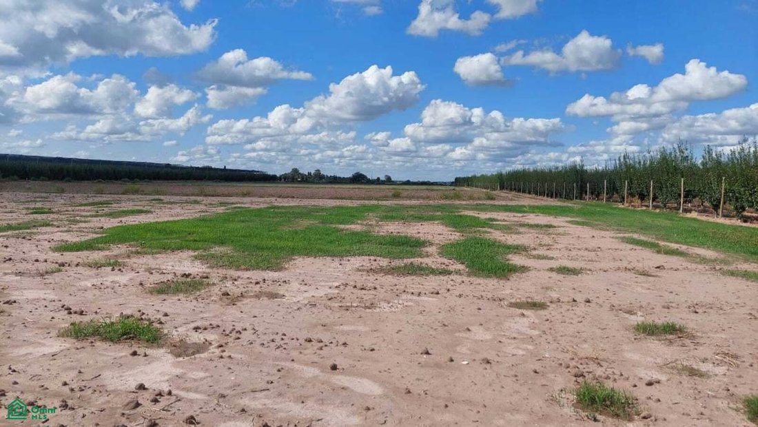 Terreno in Maipú, Provincia di Mendoza, Argentina 2 - 17960748