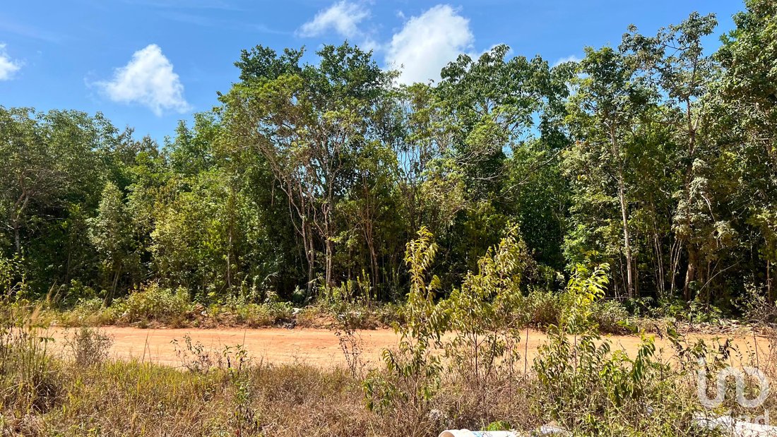 Land in Alfredo V. Bonfil, Quintana Roo, Mexico 2 - 18704082
