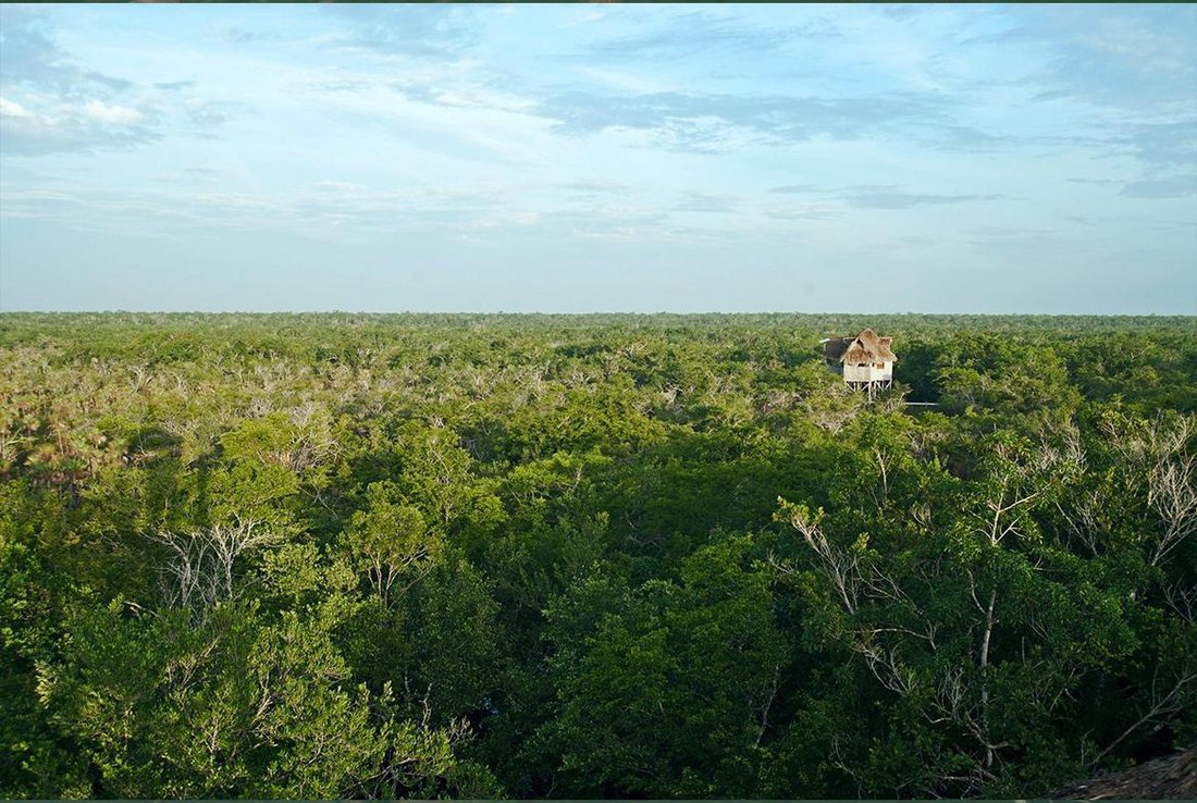 Land in El Edén, Quintana Roo, Mexico 4 - 18704158