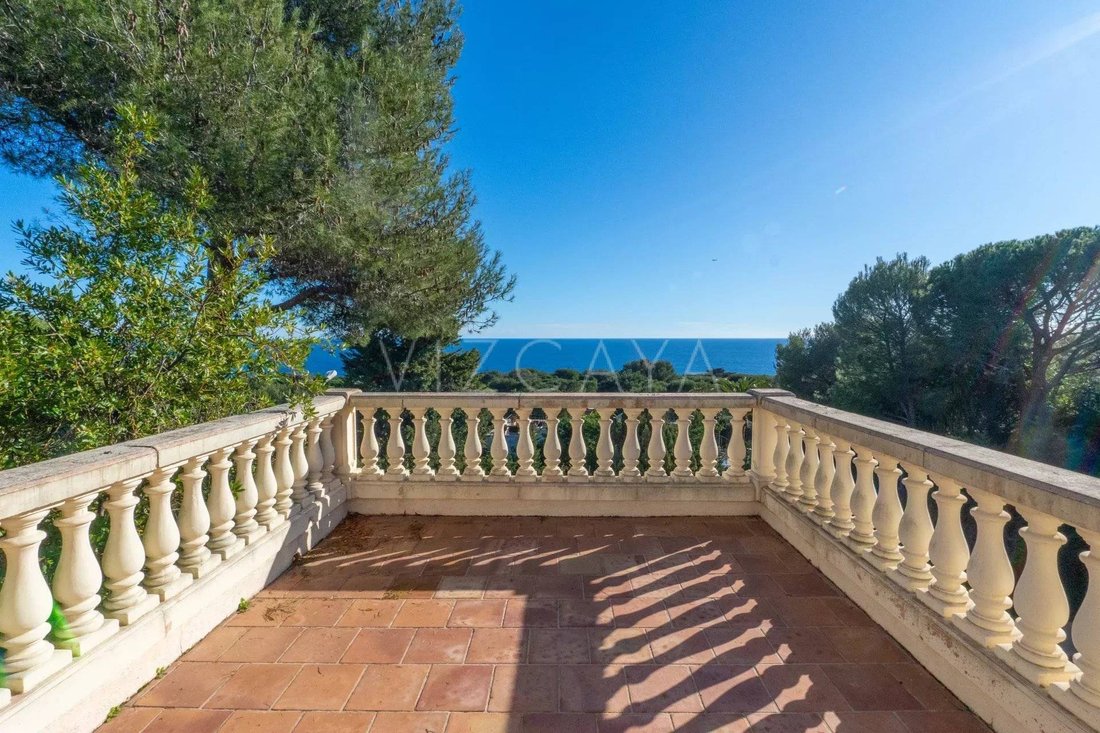 House in Saint-Jean-Cap-Ferrat, Provence-Alpes-Côte d'Azur, France 3 - 17796212