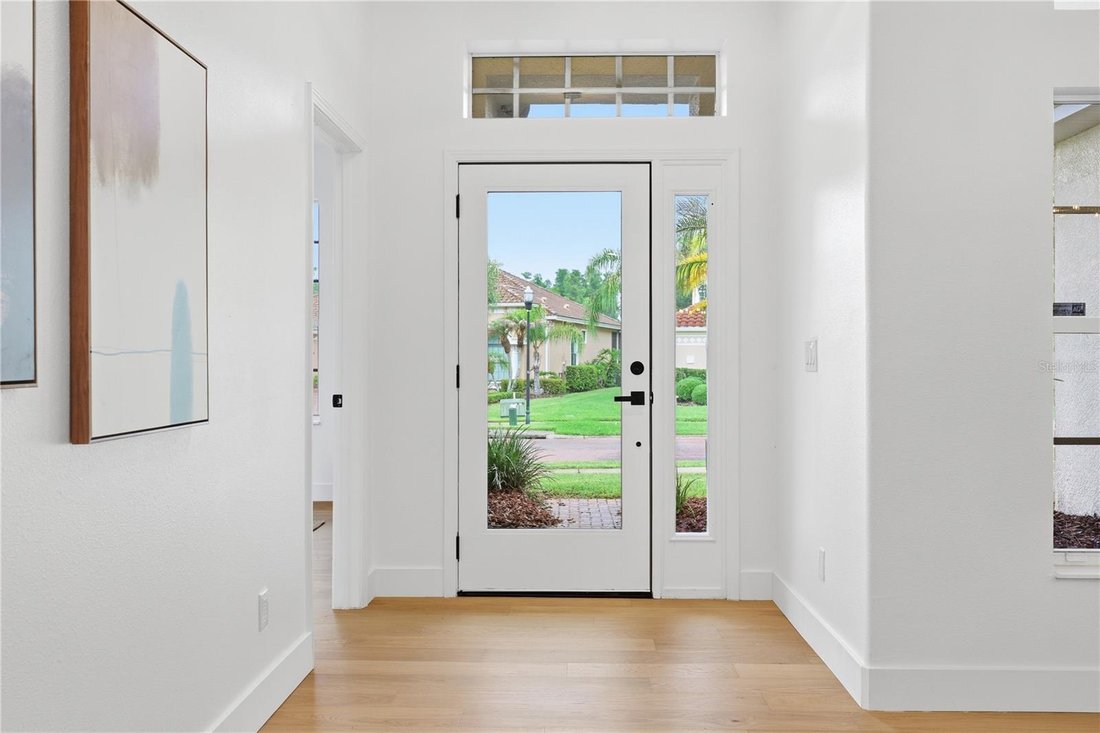 House in Tampa, Florida, United States 4 - 18705650