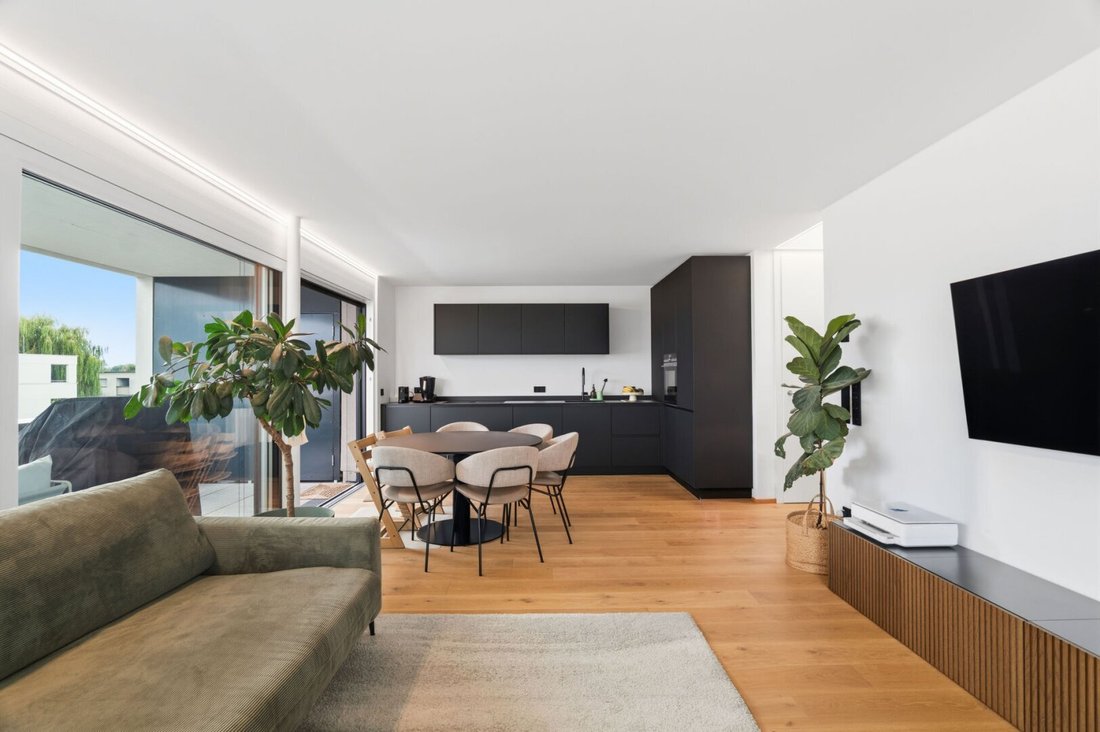 Penthouse in Hard, Vorarlberg, Austria 1 - 18709409