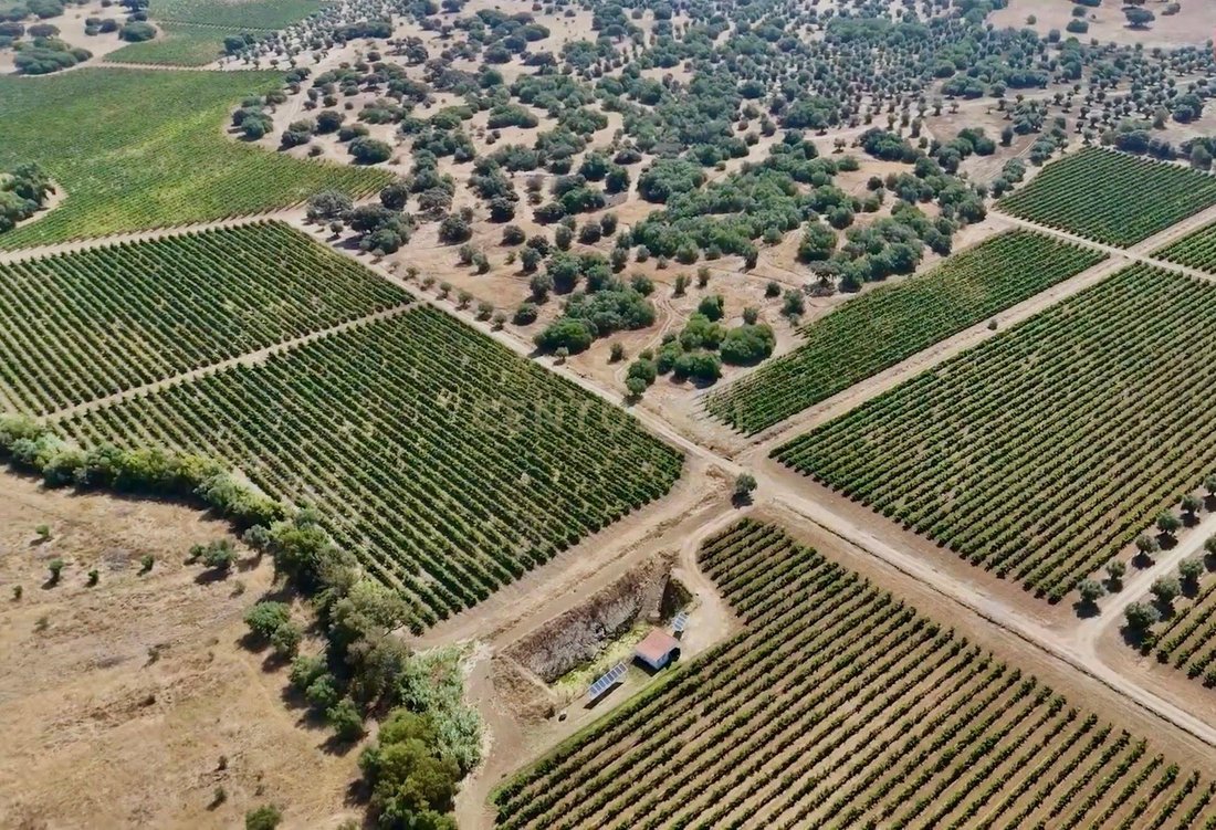 Farm Ranch in Monsaraz, Évora District, Portugal 2 - 18707104