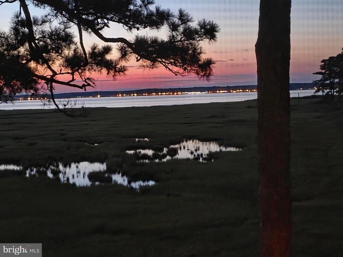 House in Dagsboro, Delaware, United States 4 - 18678450