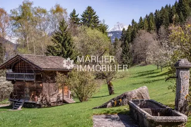 Chalet in Combloux, Auvergne-Rhône-Alpes, France 2 - 16336691