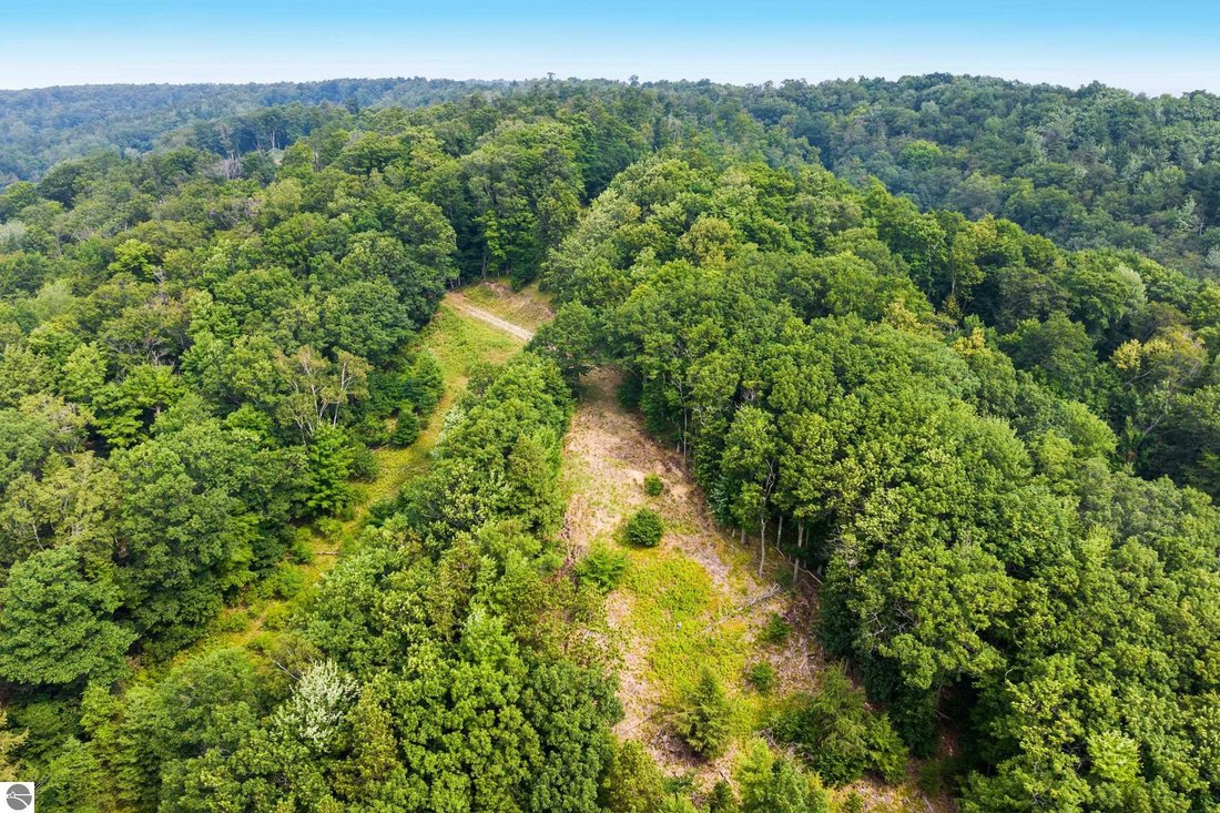 Land in Frankfort, Michigan, United States 5 - 18710612