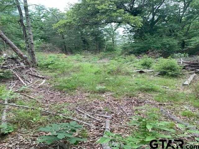Terreno en Tyler, Texas, Estados Unidos 3 - 18712609
