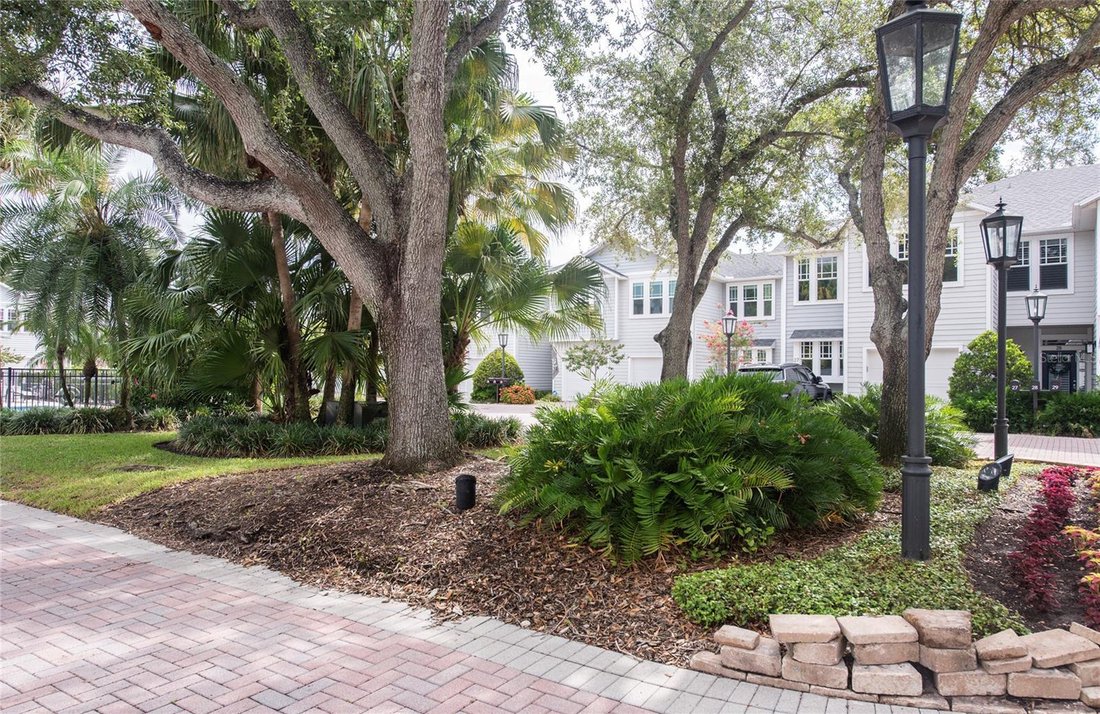 Townhouse in Tampa, Florida, United States 5 - 18705679