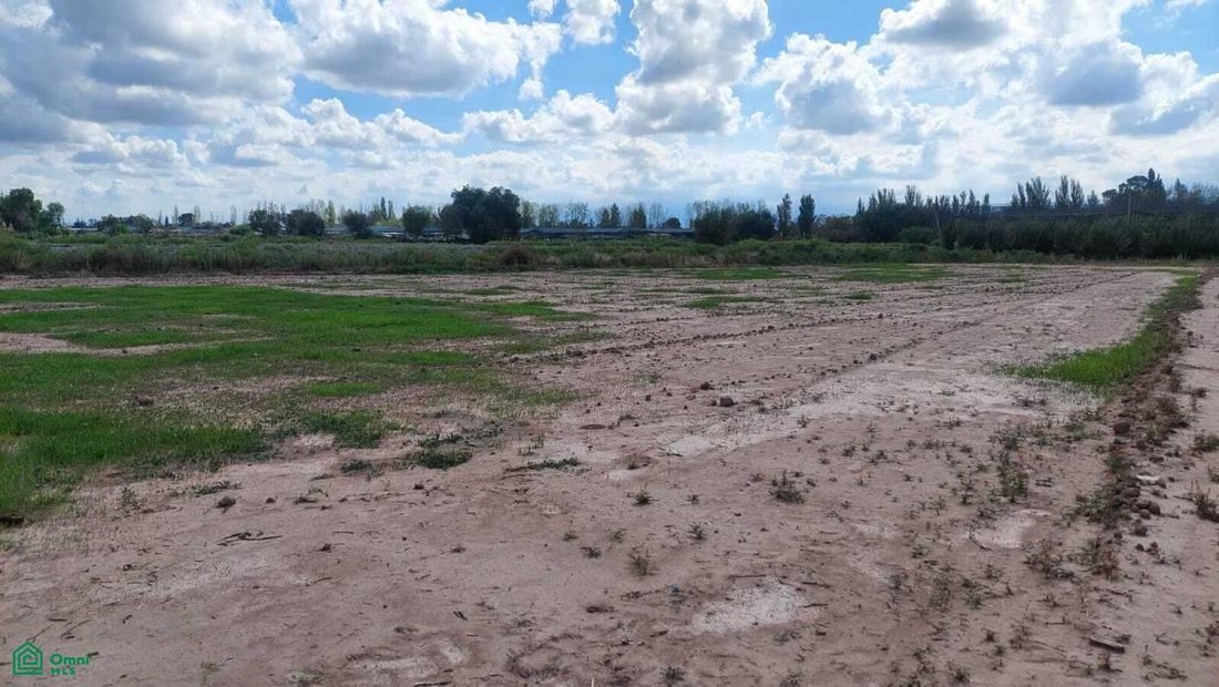 Terreno in Maipú, Provincia di Mendoza, Argentina 3 - 17960748