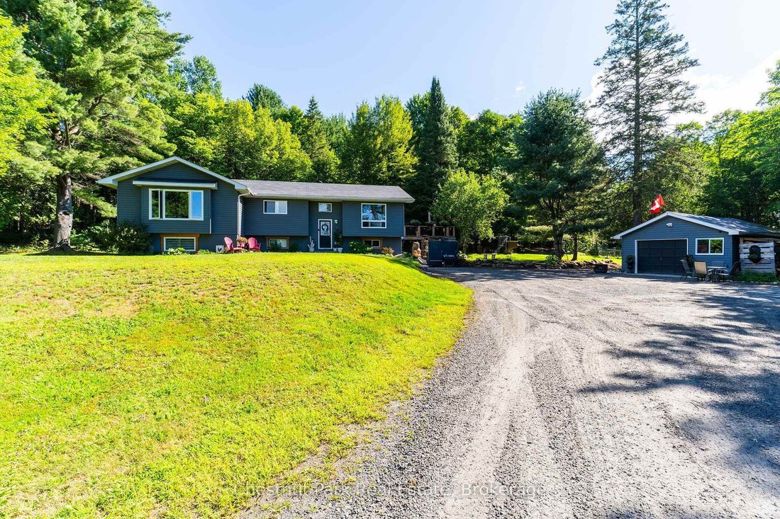 House in Huntsville, Ontario, Canada 1 - 18709361
