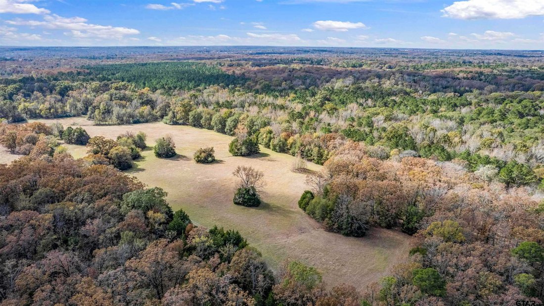 Land in Winnsboro, Texas, United States 4 - 18712610