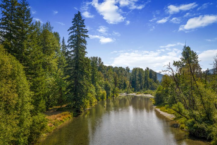 Maison à Carson River Valley, Washington, États-Unis 3 - 18712909