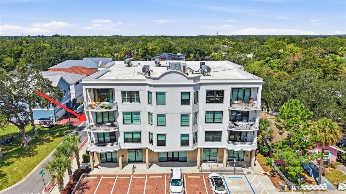 Condo in Safety Harbor, Florida, United States 4 - 18705575