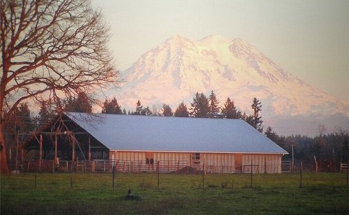 Haus in Yelm, Washington, Vereinigte Staaten 1