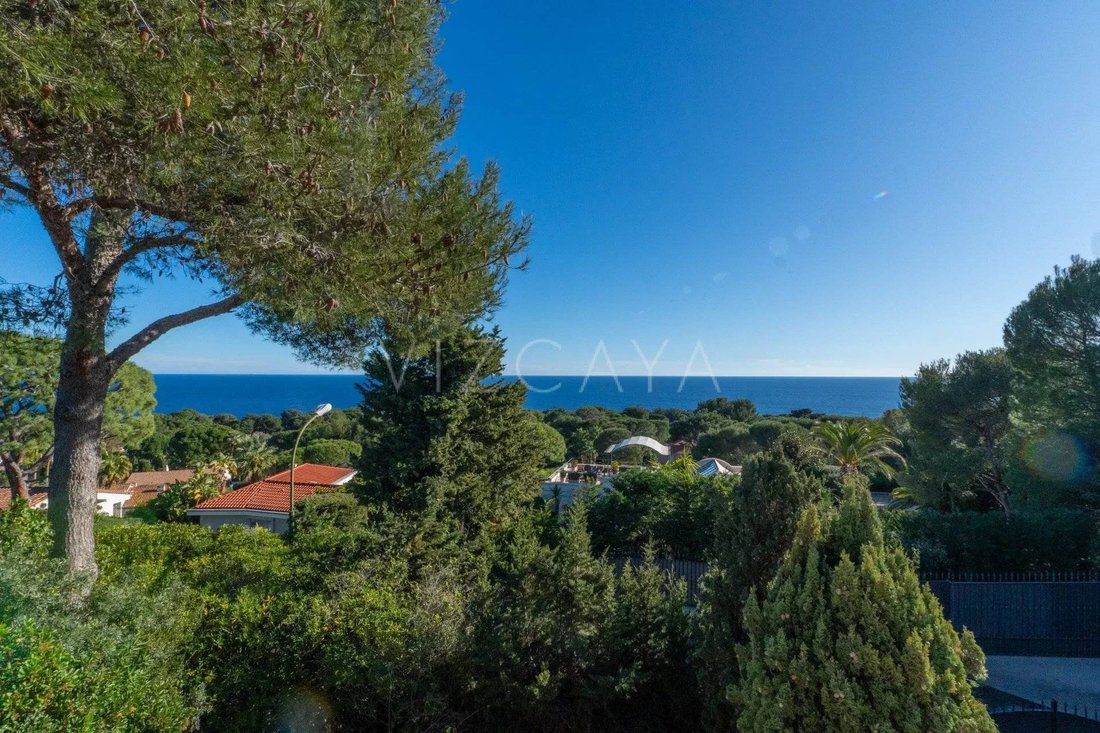 House in Saint-Jean-Cap-Ferrat, Provence-Alpes-Côte d'Azur, France 4 - 17796212