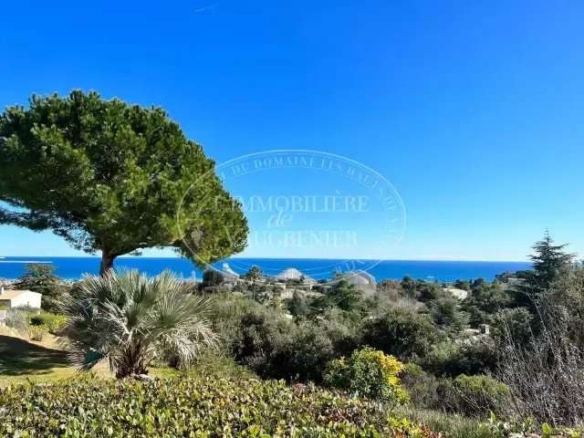 Villa in Route de Grasse, Villeneuve-Loubet, France 2 - 16012456