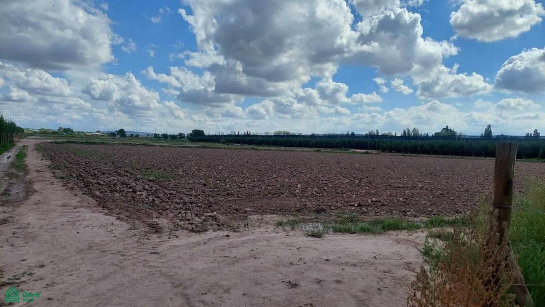 Terreno in Maipú, Provincia di Mendoza, Argentina 4 - 17960748